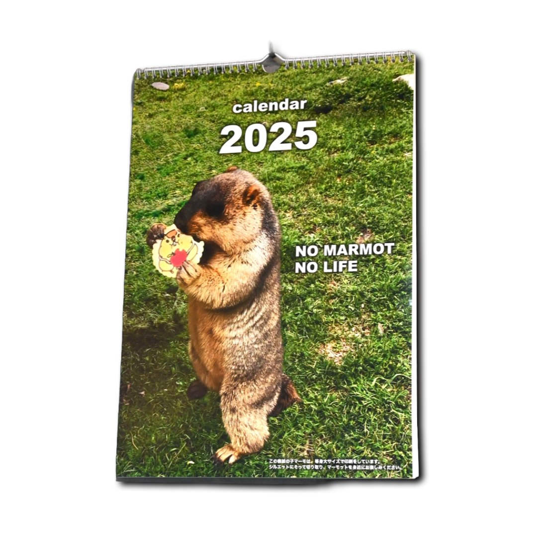 マーモット壁掛けカレンダー 2025