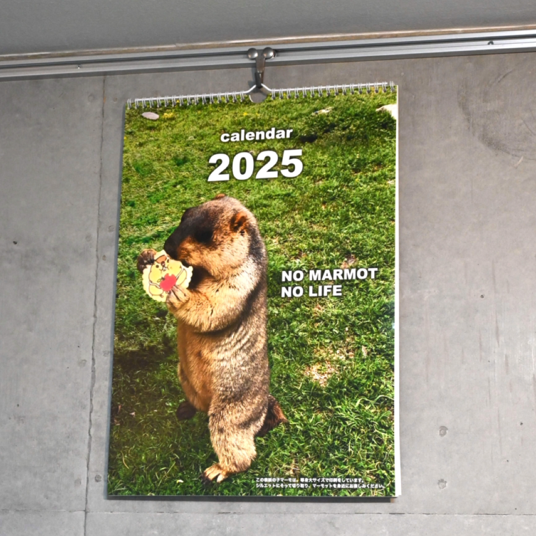 マーモット壁掛けカレンダー 2025