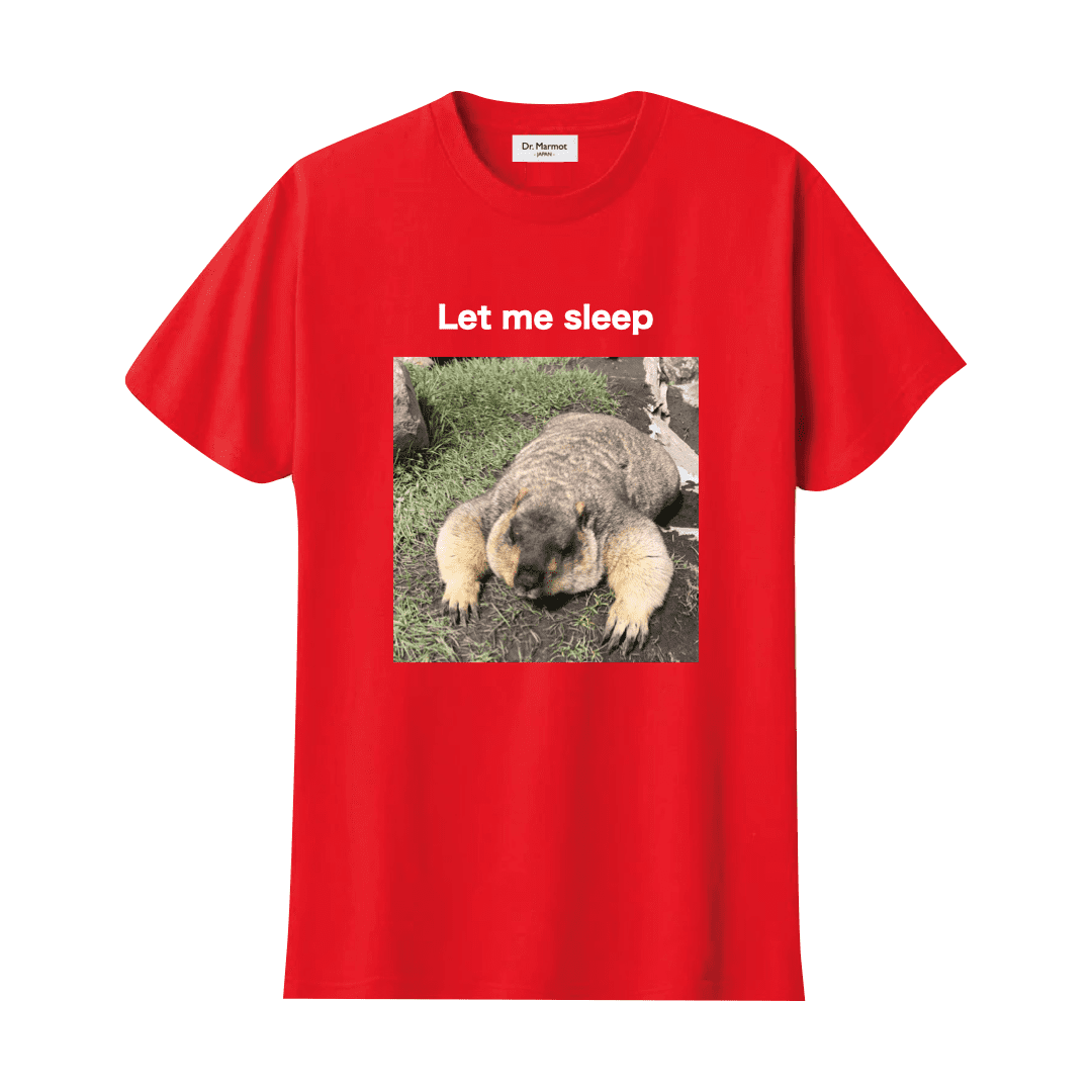 "Let me sleep" T-shirt