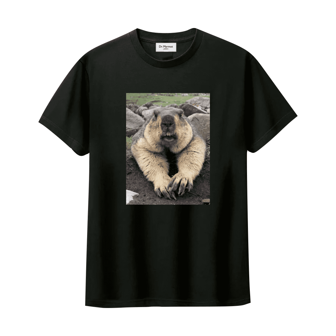 "Welcome" T-shirt