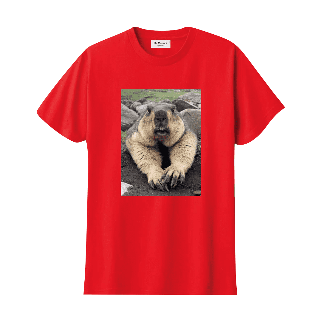 "Welcome" T-shirt