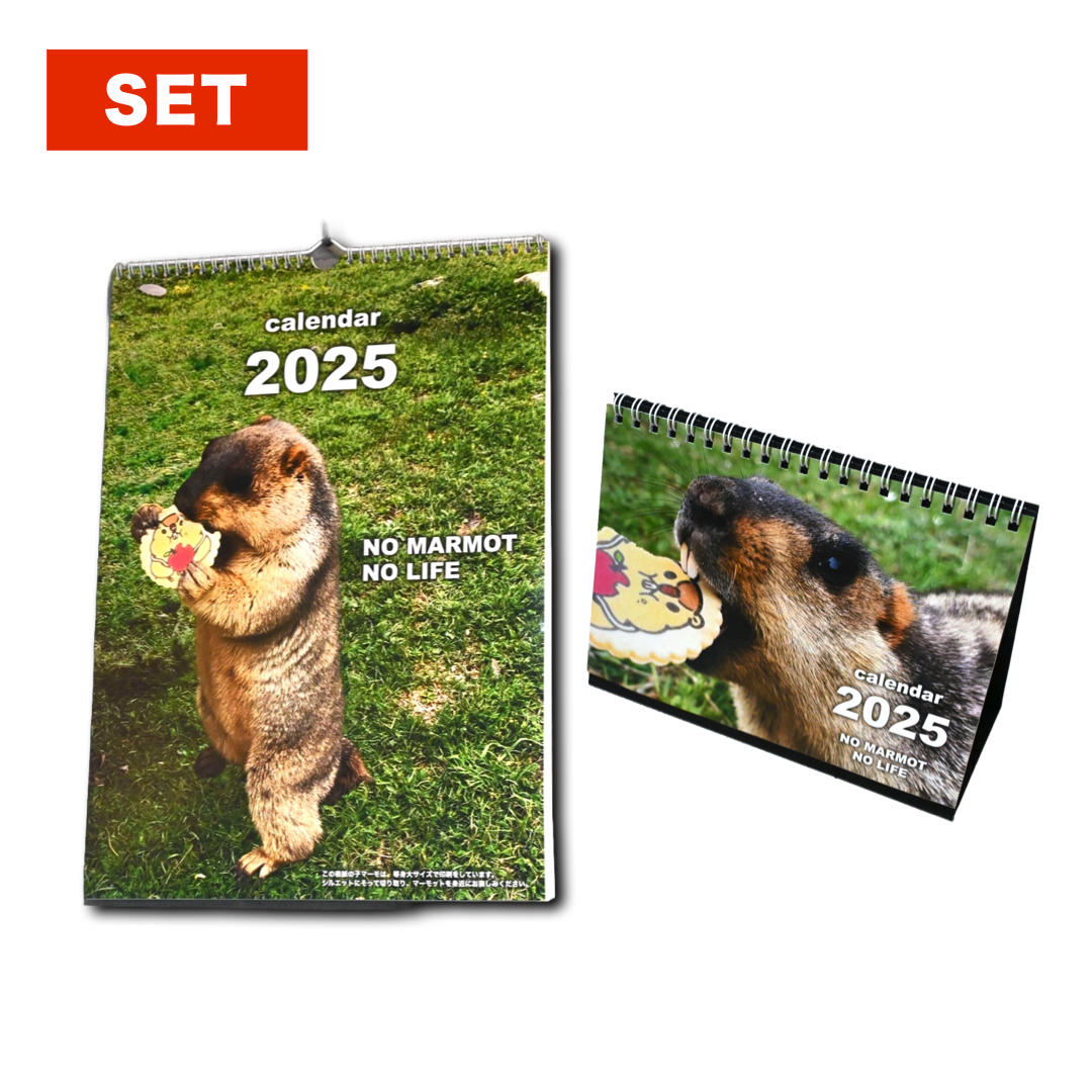 2025 Marmot Calendar Set