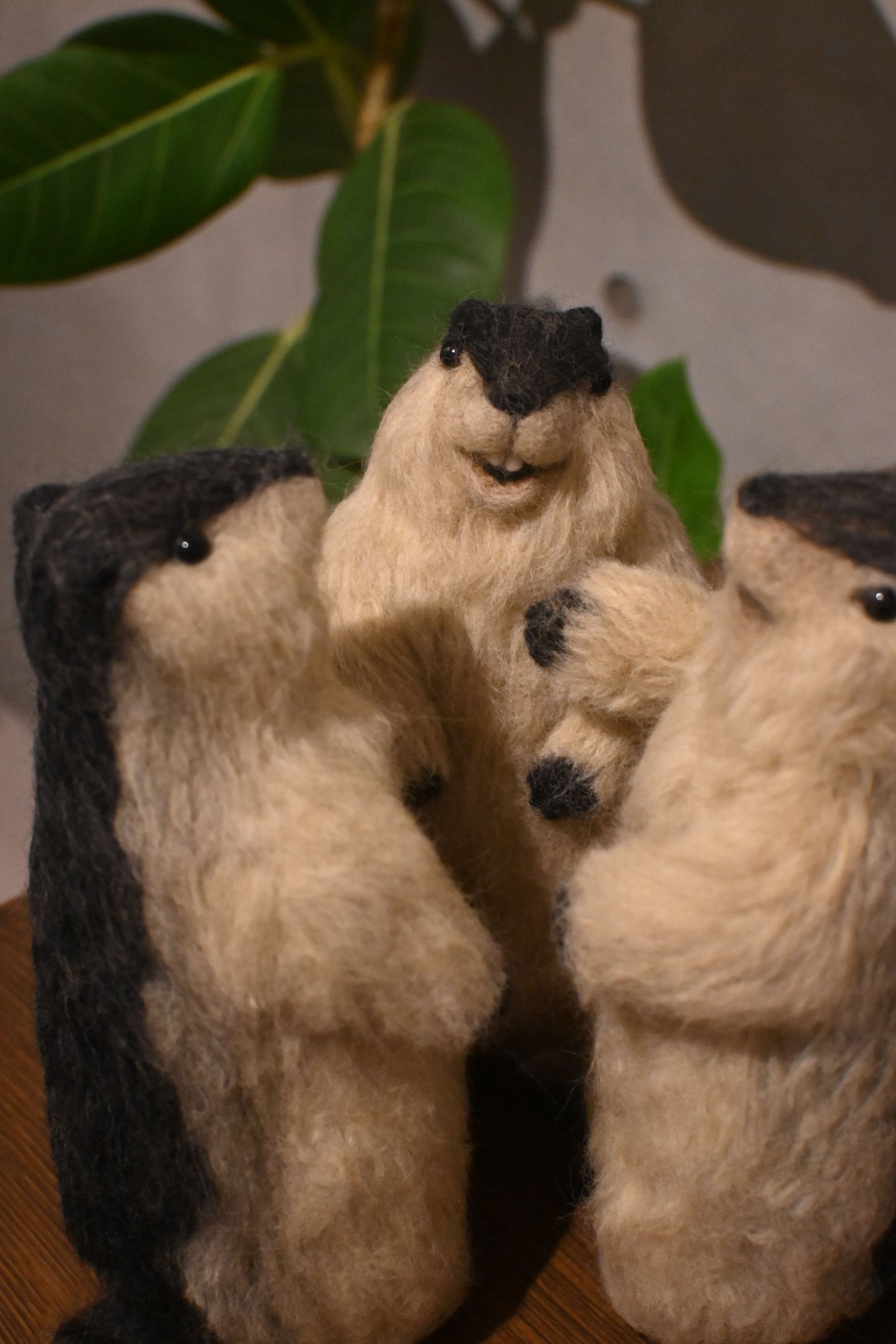 Wool felt art / Himalayan marmot