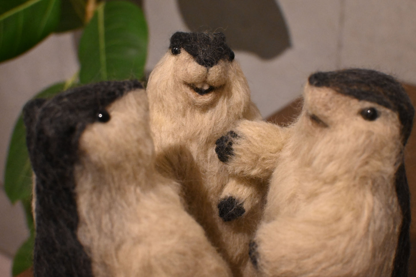 Wool felt art / Himalayan marmot