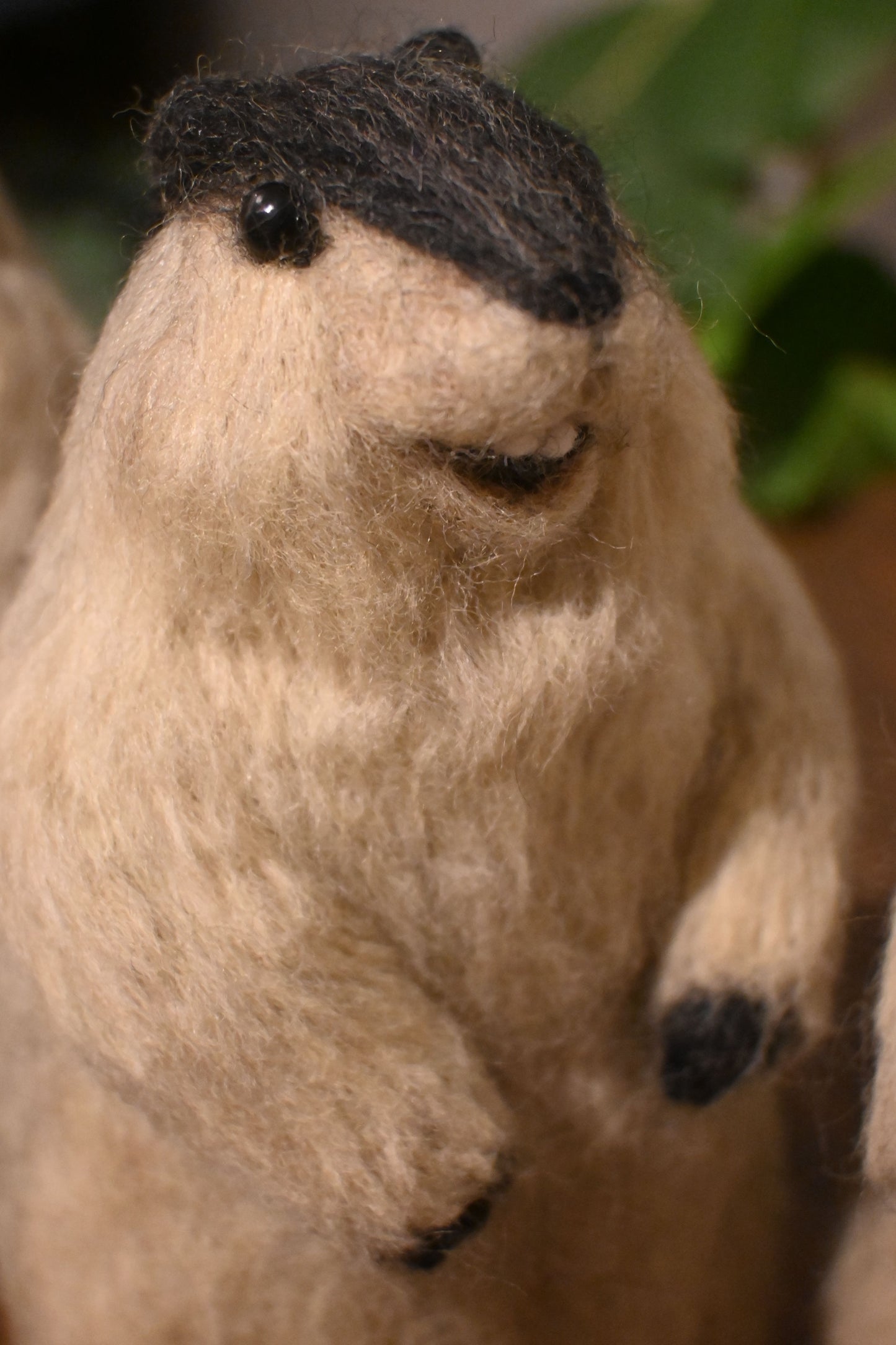 Wool felt art / Himalayan marmot