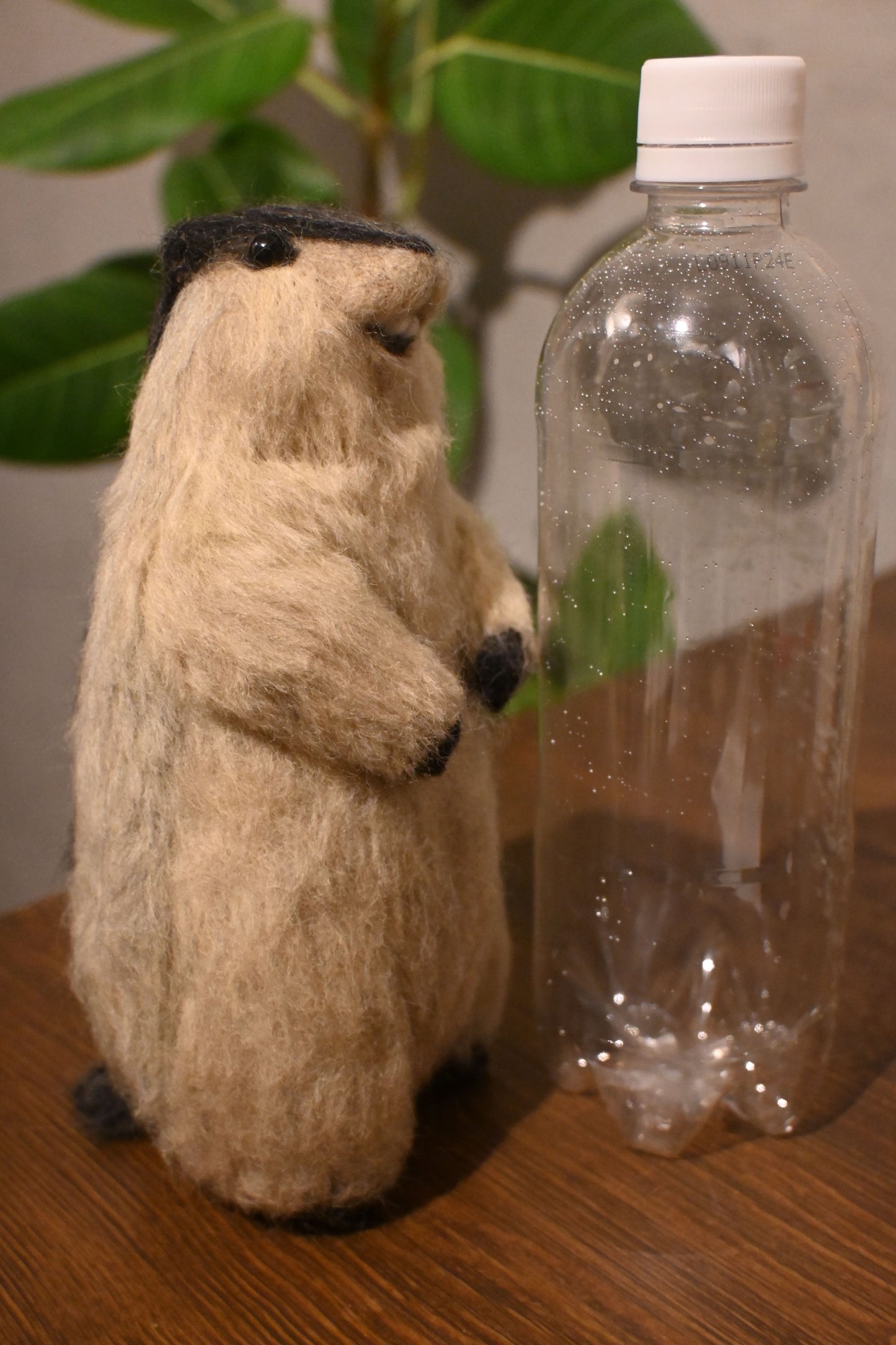 Wool felt art / Himalayan marmot