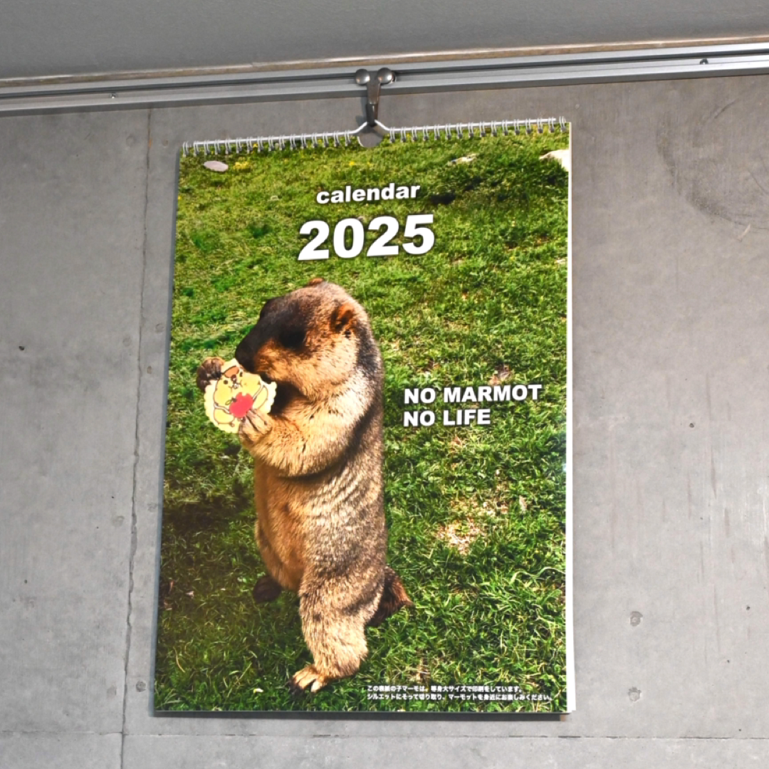 2025 Marmot Wall Calendar