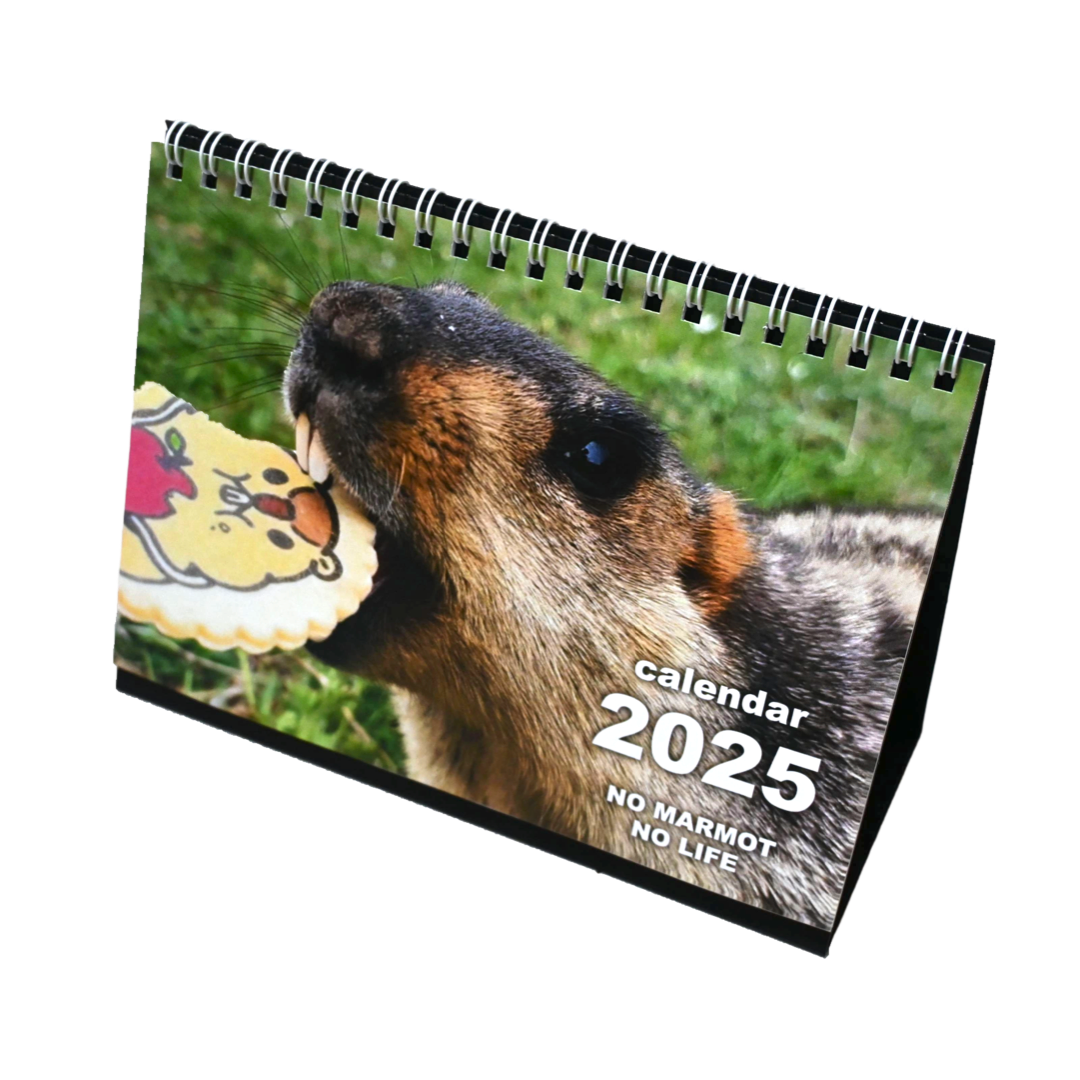 2025 Marmot Calendar Set