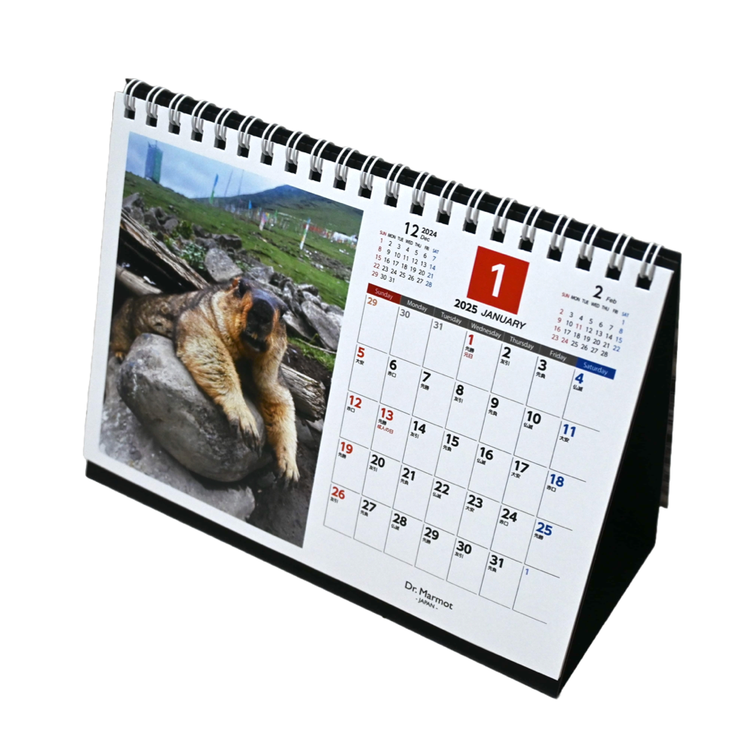 2025 Marmot Desk Calendar