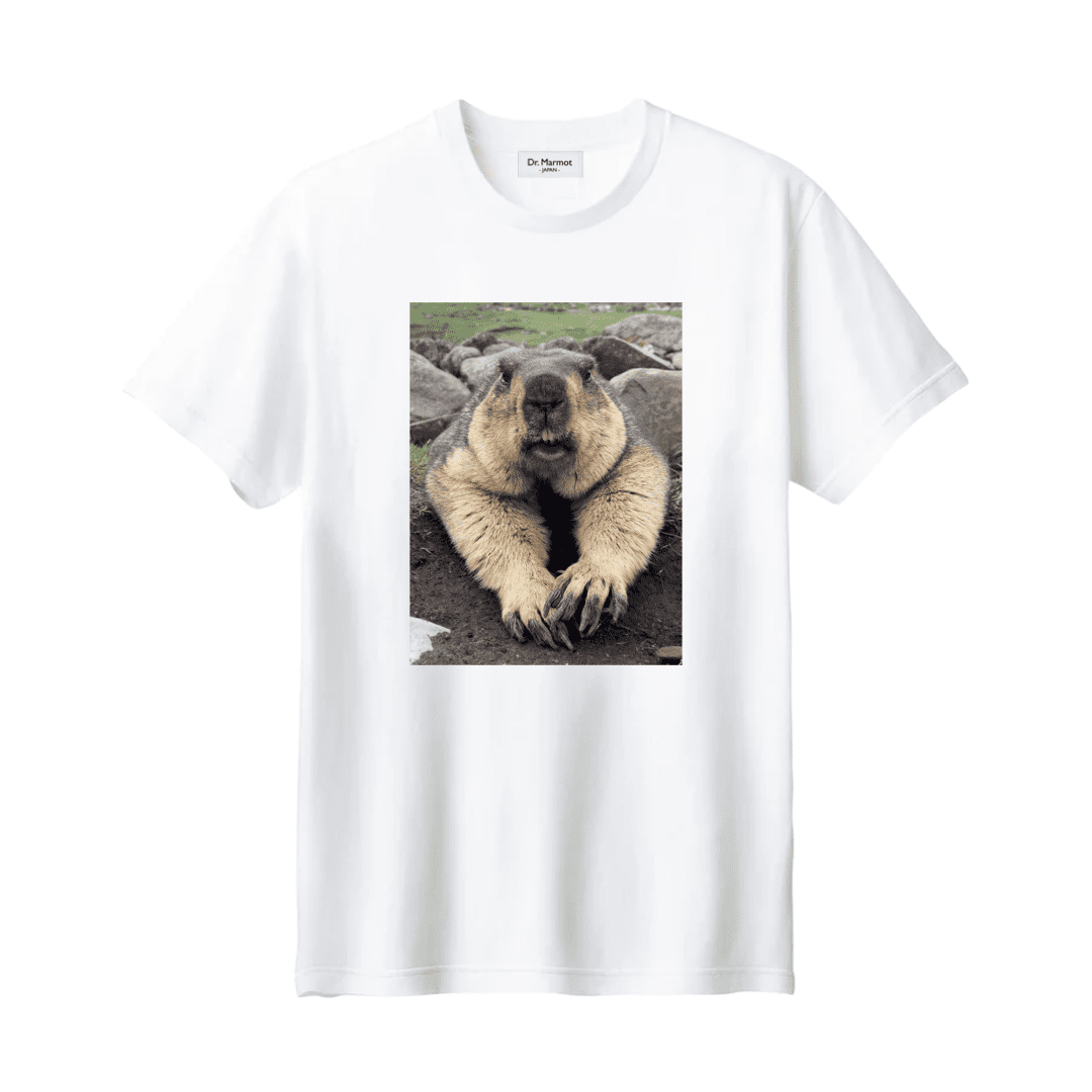 Dr. Marmot "Welcome" Tシャツ